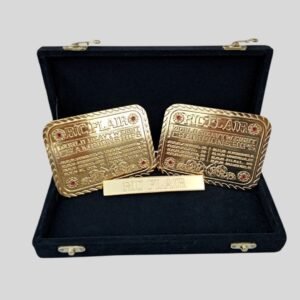 Ric Flair Side Plates – Custom Brass Championship Panels with Name Plate